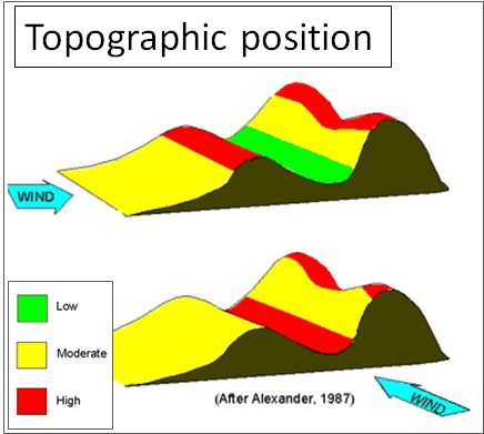 topographic position
