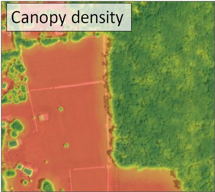 canopy density