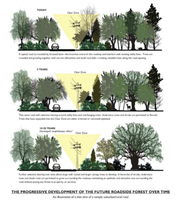 graphic of future roadside forest